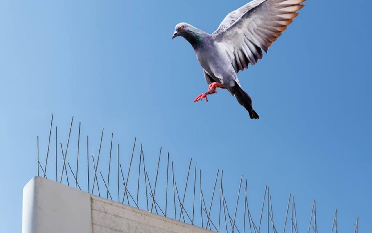 WhatsApp Image 2025-11-18 at 22.39.16