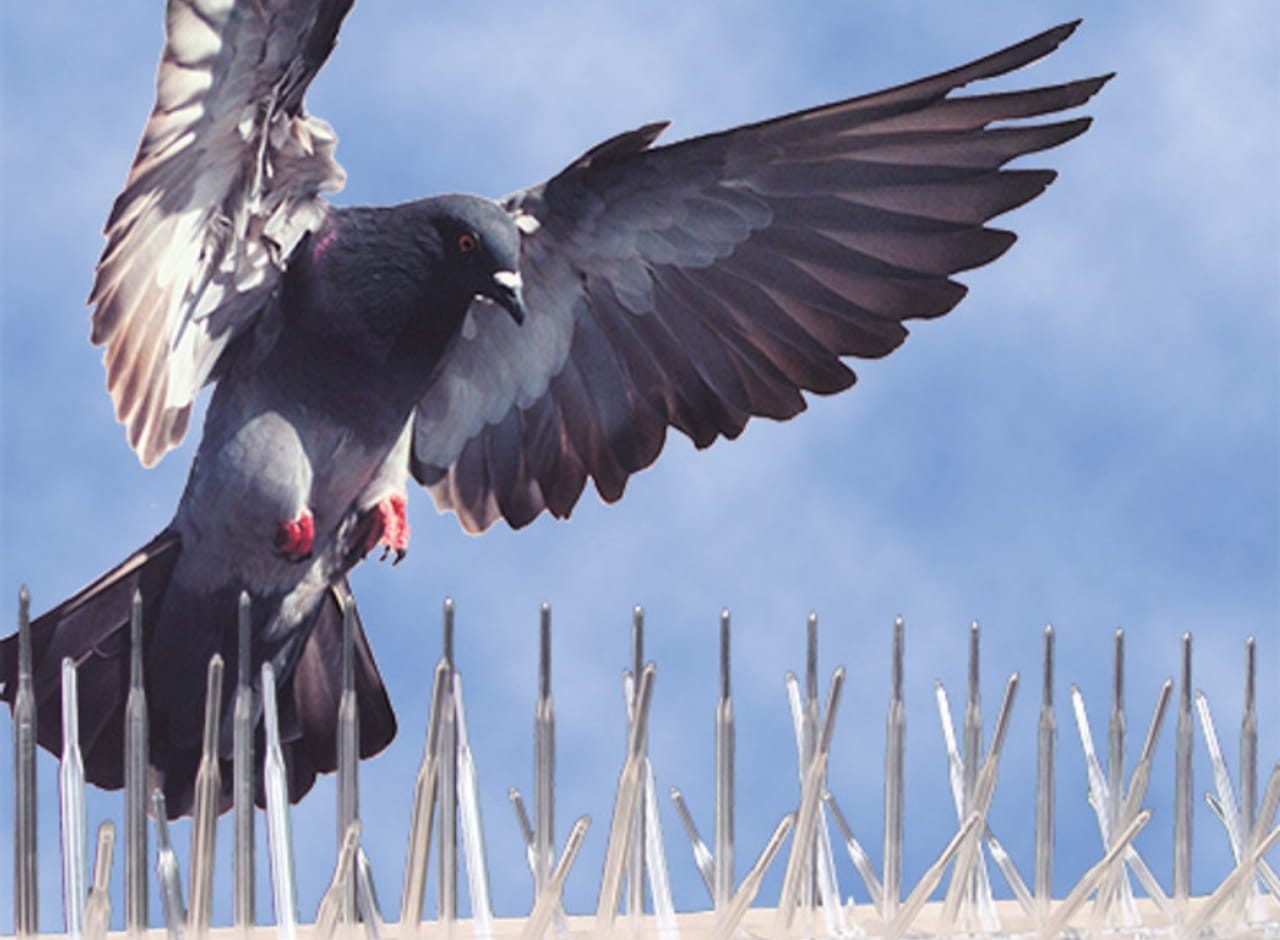 WhatsApp Image 2025-11-19 at 3.47.21 PM