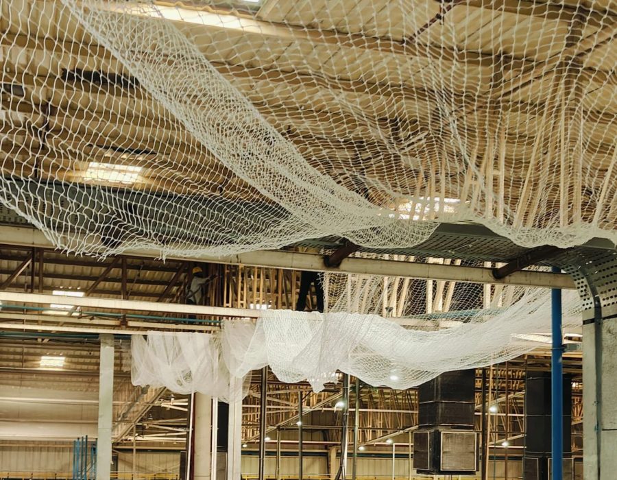 WhatsApp Image 2025-11-19 at 3.47.31 PM